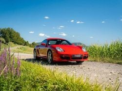 Gebraucht 2009 Porsche Cayman S Coupé | 39.000 € (Etwas zu teuer)