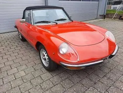 Alfa Romeo Spider