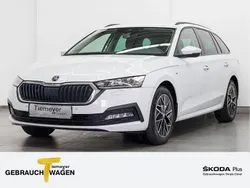Weiß Gebraucht 2022 Skoda Octavia Ambition Kombi | 19.970 € (Guter Preis)