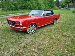 Rot Gebraucht 1965 Ford Mustang Cabrio | 32.500 €