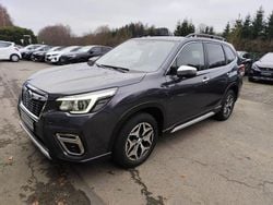 Magnetite gray (m) Gebraucht 2020 Subaru Forester Comfort SUV | 24.900 € (Fairer Preis)