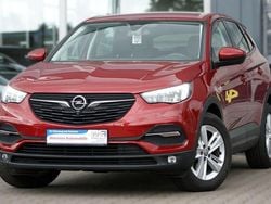 Rot Gebraucht 2021 Opel Grandland X Business SUV | 14.500 € (Fairer Preis)
