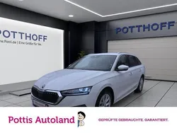 Weiss Gebraucht 2023 Skoda Octavia Style Kombi | 27.221 € (Guter Preis)