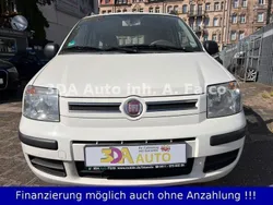 Weiß Gebraucht 2010 Fiat Panda Dynamic Kleinwagen | 3.900 € (Teuer)