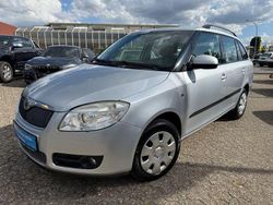 Silber Gebraucht 2009 Skoda Fabia Elegance Kleinwagen | 5.999 € (Teuer)