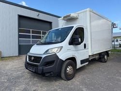 Weiss Gebraucht 2018 Fiat Ducato Van | 14.000 € (Guter Preis)