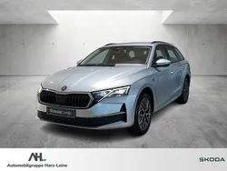 Grau Neu 2025 Skoda Octavia Tour Kombi | 40.297 € (Etwas zu teuer)