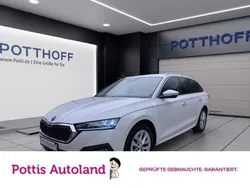 Weiss Gebraucht 2023 Skoda Octavia Style Kombi | 24.777 € (Guter Preis)