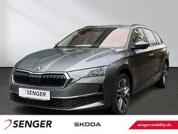 Graphitegrau Neu 2025 Skoda Octavia Tour Kombi | 41.990 € (Teuer)