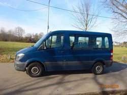 Blau Gebraucht 2014 Mercedes Sprinter Van | 17.600 € (Teuer)