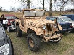 Beige Gebraucht 1963 Jeep CJ SUV | 6.875 €