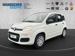 Weißschwarz Neu 2025 Fiat Grande Panda Icon Kleinwagen | 15.490 € (Fairer Preis)