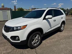 Weiß Gebraucht 2010 Kia Sorento 2 SUV | 4.999 € (Guter Preis)