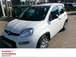 Weiß Neu 2025 Fiat Panda Kleinwagen | 16.990 €
