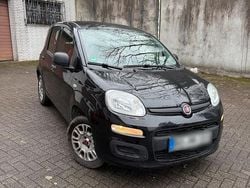 Schwarz Gebraucht 2020 Fiat Panda Easy Kleinwagen | 6.399 € (Guter Preis)