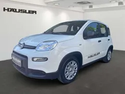 Gelato weiß Neu 2024 Fiat Panda Kleinwagen | 14.990 €