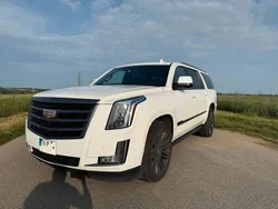 Weiß Gebraucht 2017 Cadillac Escalade SUV | 56.000 € (Teuer)