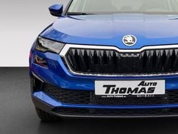Blau Neu 2025 Skoda Karoq Tour SUV | 40.820 € (Teuer)