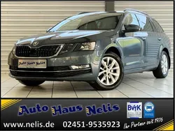 Grau Gebraucht 2020 Skoda Octavia Style Kombi | 19.990 € (Guter Preis)
