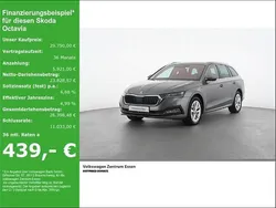 Grau Gebraucht 2023 Skoda Octavia Style Kombi | 29.750 € (Etwas zu teuer)