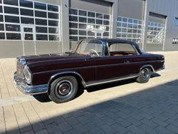Braun Gebraucht 1965 Mercedes W112 SE Coupé | 105.000 €
