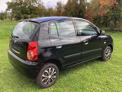 Schwarz Gebraucht 2010 Kia Picanto 2 Kleinwagen | 1.600 € (Guter Preis)