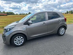 Andere außenfarben Gebraucht 2019 Kia Picanto Kleinwagen | 9.500 € (Fairer Preis)