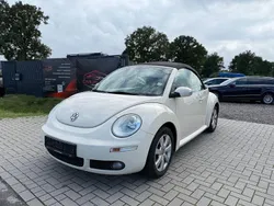 Beige Gebraucht 2005 VW Beetle Cabrio | 3.500 € (Fairer Preis)