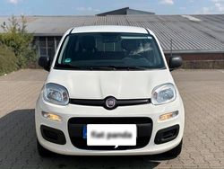 Weiß Gebraucht 2012 Fiat Panda Kleinwagen | 4.999 €