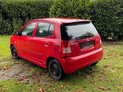 Rot Gebraucht 2005 Kia Picanto Kleinwagen | 1.500 € (Fairer Preis)