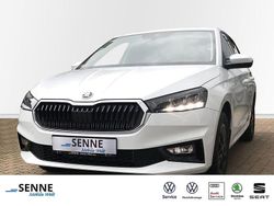Moonweiss Neu 2025 Skoda Fabia Selection Kleinwagen | 18.980 € (Fairer Preis)