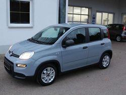 Grau Gebraucht 2023 Fiat Panda Kleinwagen | 13.500 € (Etwas zu teuer)