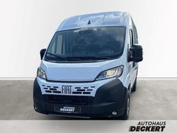 Weiss (pastell)) (weiss Neu 2025 Fiat Ducato Van | 35.990 € (Fairer Preis)