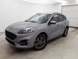 Silber Gebraucht 2024 Ford Kuga ST-Line X SUV | 27.270 € (Guter Preis)