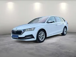 Weiß Gebraucht 2020 Skoda Octavia Kombi | 23.990 € (Fairer Preis)