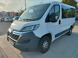 Weiß Gebraucht 2017 Citroën Jumper Live Van / Kleinbus | 19.950 € (Teuer)