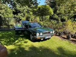 Grün Gebraucht 1986 Jaguar XJ Limousine | 14.500 €