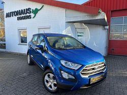Blau Gebraucht 2019 Ford Ecosport Trend SUV | 10.780 € (Guter Preis)