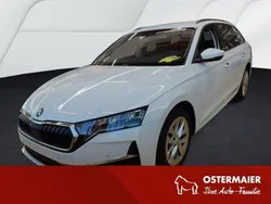 Weiß Gebraucht 2024 Skoda Octavia Selection Kombi | 28.790 € (Guter Preis)