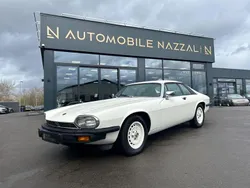 Weiß Gebraucht 1979 Jaguar XJS Coupé | 9.999 €