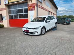 Pure white Gebraucht 2021 VW Golf VIII Basis Kleinwagen | 15.999 € (Guter Preis)