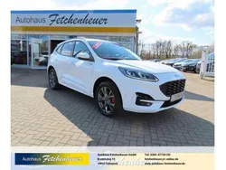 Frostweiss Gebraucht 2022 Ford Kuga ST-Line SUV | 25.990 € (Guter Preis)