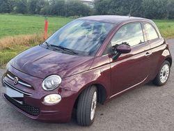 Rot Gebraucht 2019 Fiat 500 Limousine | 9.750 € (Fairer Preis)