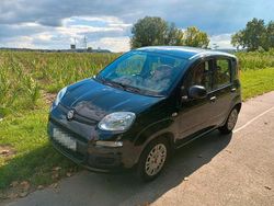 Schwarz Gebraucht 2022 Fiat Panda Kleinwagen | 10.000 €