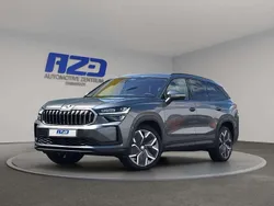 Grau Gebraucht 2024 Skoda Kodiaq SUV | 50.888 € (Etwas zu teuer)