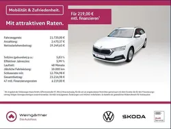 Andere farbe Gebraucht 2022 Skoda Octavia Comfort Kombi | 21.720 € (Guter Preis)