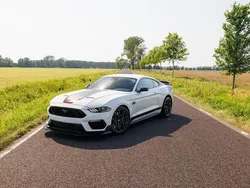 Weiß Gebraucht 2023 Ford Mustang Performance Edition | 44.900 €