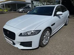 Yulong white Gebraucht 2015 Jaguar XF R-Sport Limousine | 18.550 € (Fairer Preis)