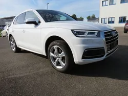 Weiß Gebraucht 2019 Audi Q5 Sport SUV | 32.900 € (Guter Preis)