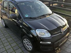 Schwarz Gebraucht 2014 Fiat Panda Kleinwagen | 4.999 € (Fairer Preis)